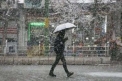 بارش برف و باران در جاده‌های ۱۳ استان کشور