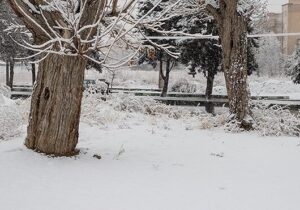 هواشناسی ایران۱۴۰۳/۱۱/۸؛بارش شدید برف و باران در ۱۰ استان