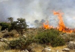 زبانه آتش در 4 نقطه از جنگل‌های هیرکانی/ پاییز داغ در شمال/ بالگردهای اطفا کجایند؟