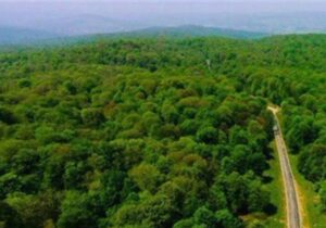 حلقه‌های تهدید در جنگل‌های شمال/ خطر در کمین میراث هیرکانی/ حریق‌ها ادامه دارد