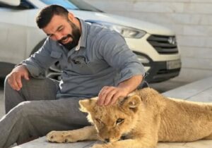 خرابکاری محیط زیست و باغ وحش ارم؛ جای توله شیر پیش علی‌اکبری امن‌تر بود!