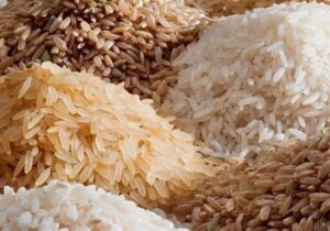 ورود یک هزار و 21 تن برنج وارداتی به انبارهای مازندران/ ذخایر راهبردی تقویت شد