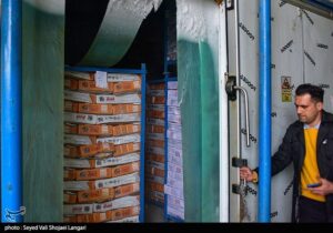 موجودی کالاهای اساسی کشور از زمان صلح هم بیشتر است