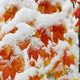 موج بارشی در راه کشور/ بارندگی و صاعقه در 18 استان